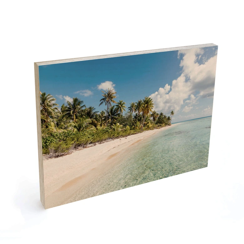 Holzbild Palmenstrand in der Südsee - Colombo 