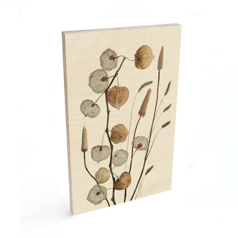 Holzbild Getrocknete Lampionblumen - Disher 