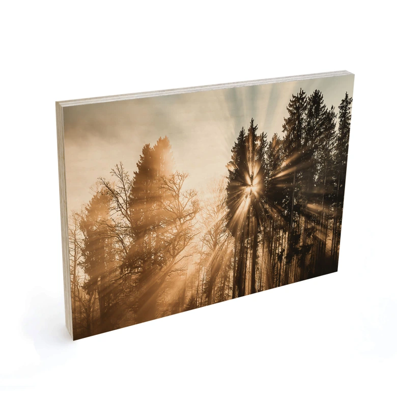 Holzbild Lichtstrahlen im Wald - Eisenmann 