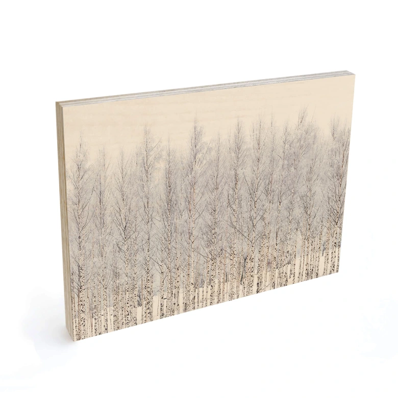 Holzbild Birkenwald im Winter - EMELIEmaria 