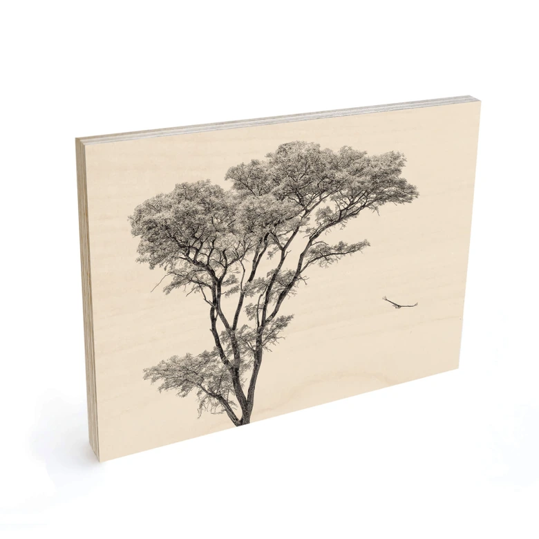 Cuadro de madera Arbol minimalista en un paisaje tranquilo - Flour 