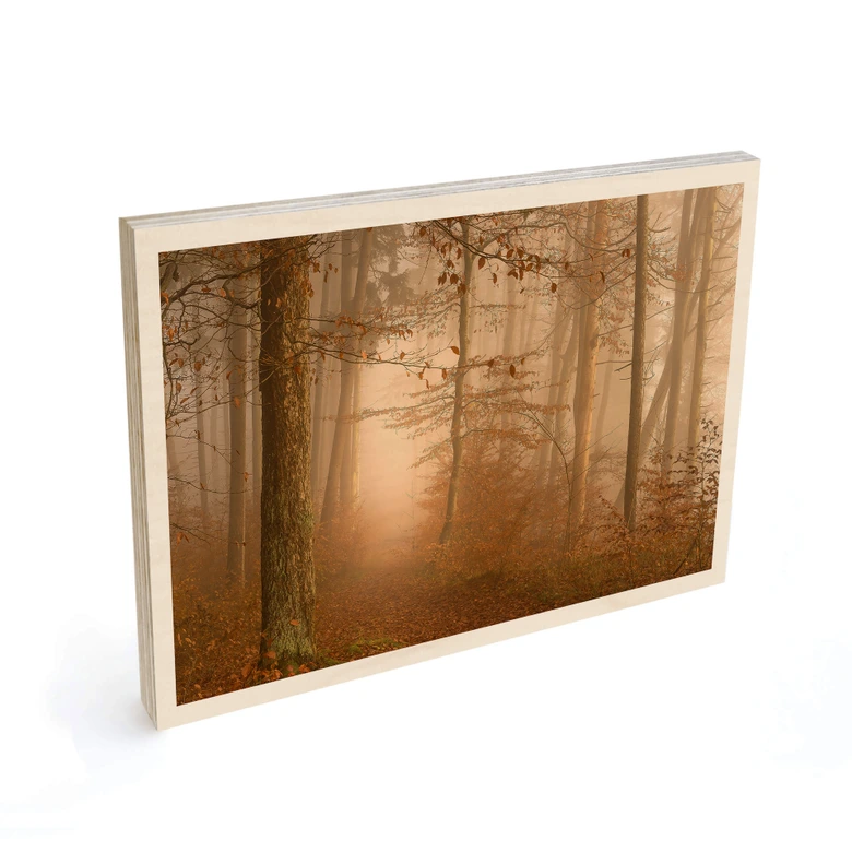 Holzbild Dunst und Licht im herbstlichen Wald - Maier 