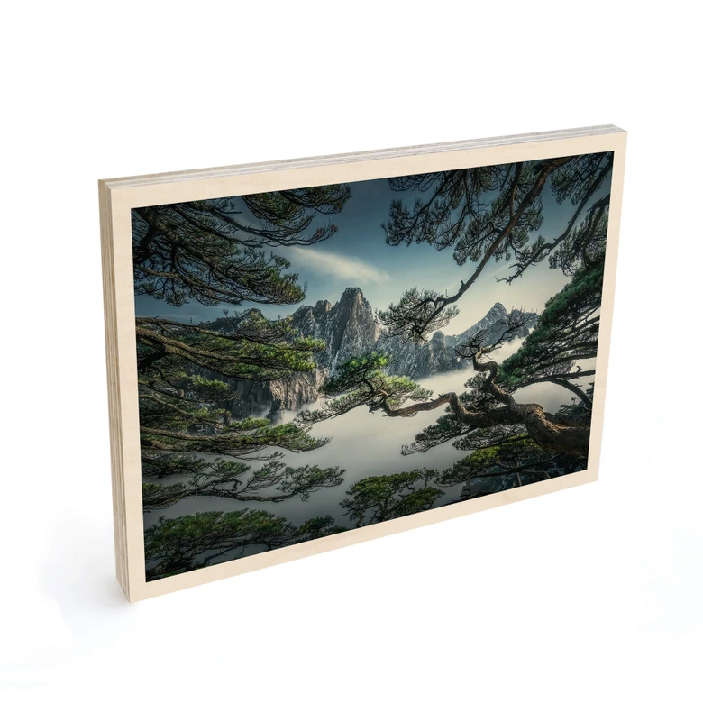 Holzbild Kiefernwald im Huang Shan Gebirge - NingYun Ye 