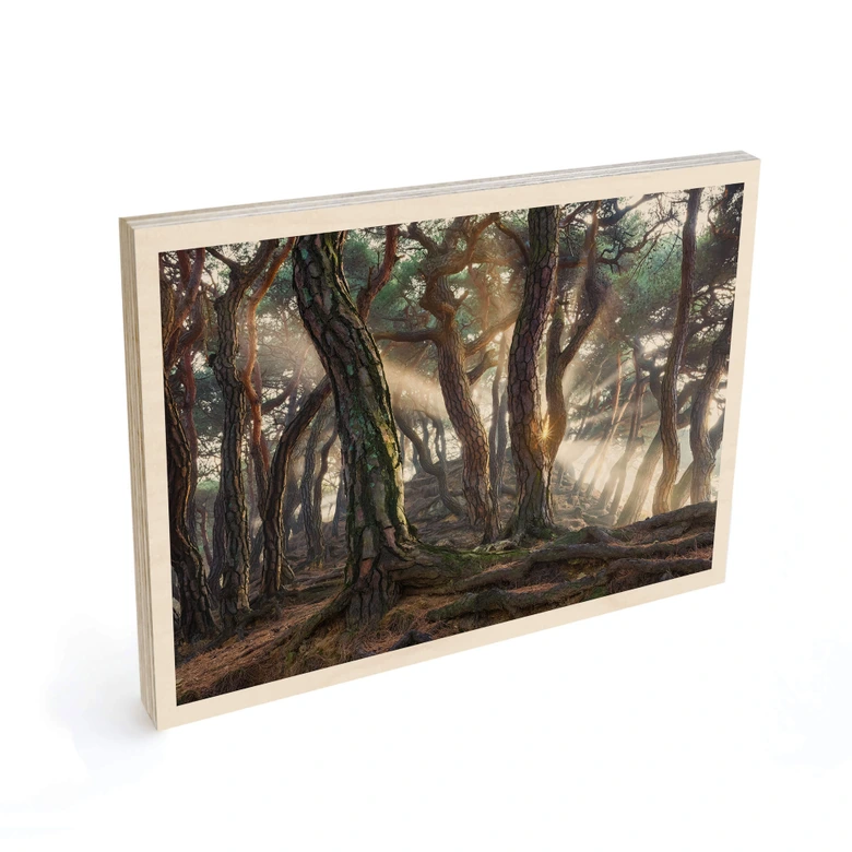 Cuadro de madera pinar sagrado - Ryu 