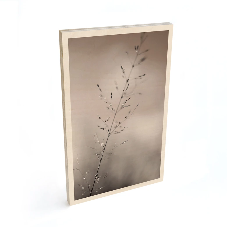 Holzbild Grashalm mit Tautropfen - Sillen 