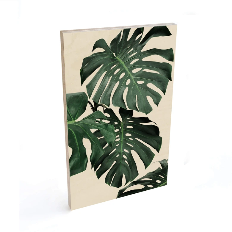 Tableau sur bois Sisi & Seb - Monstera 
