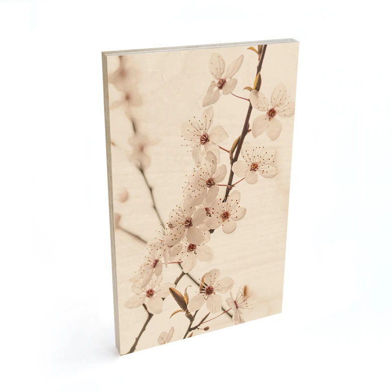 Holzbild Zweig mit weißen Kirschblüten - Sisi & Seb 