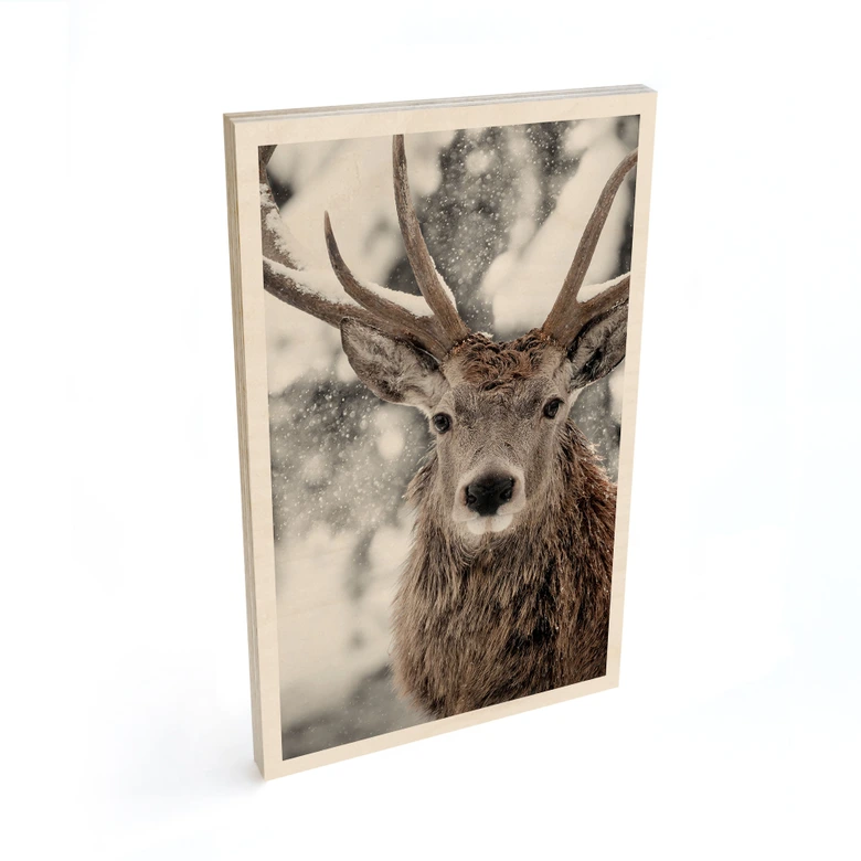 Houten Wanddecoratie hert in een sneeuwjacht - Strigel 