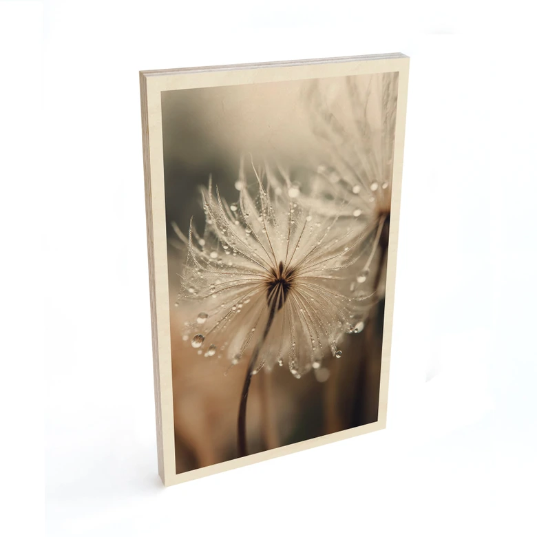 Holzbild Pusteblume in Morgentau - Treechild 