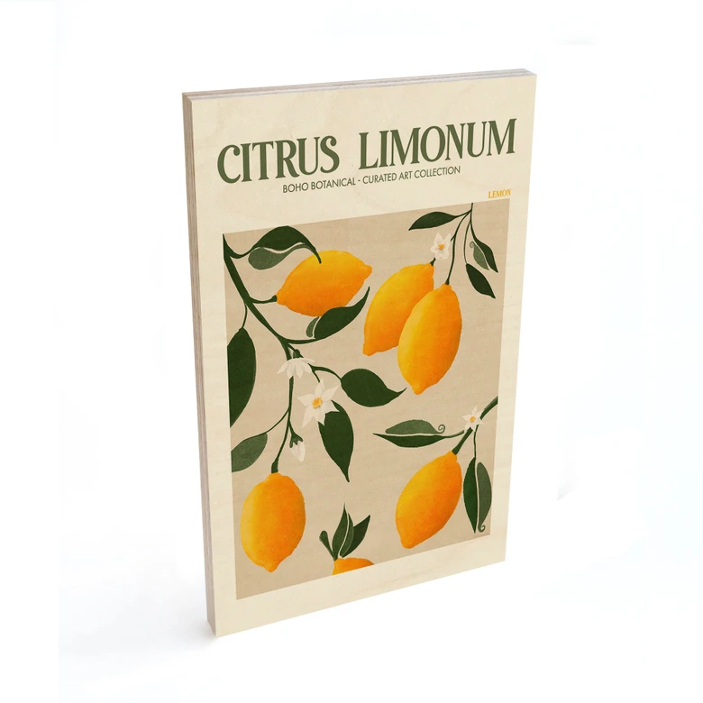 Træplakat Frugt - Boho citrontræ - Citrus Limonum - Tunaboylu 