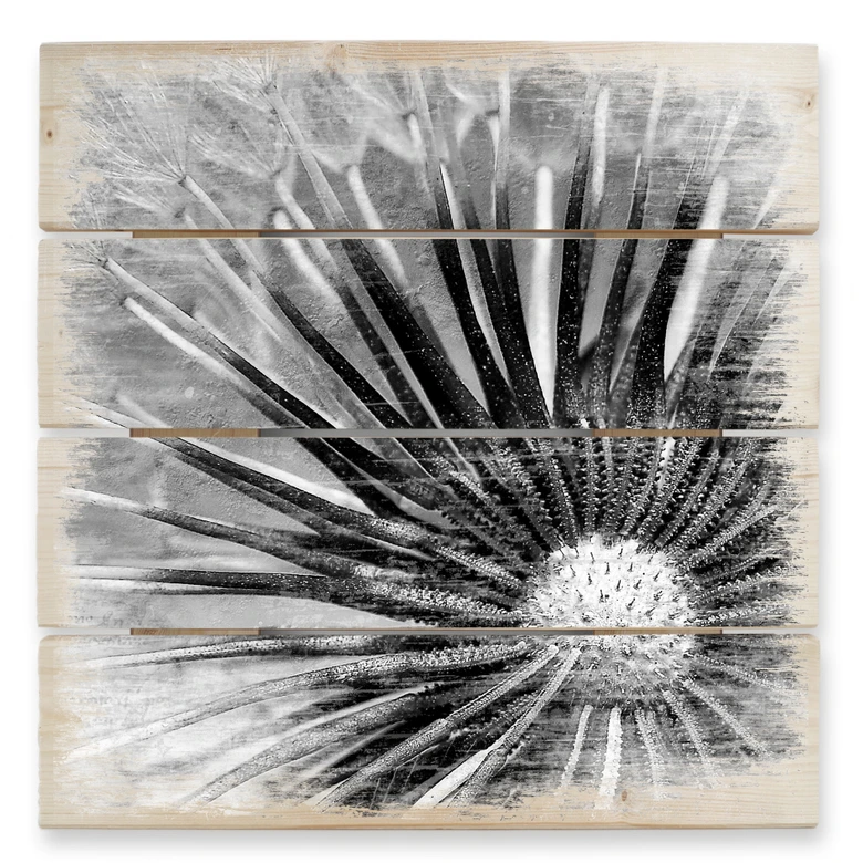Holzbild Pusteblumen-Poesie - 40x41,5 cm 