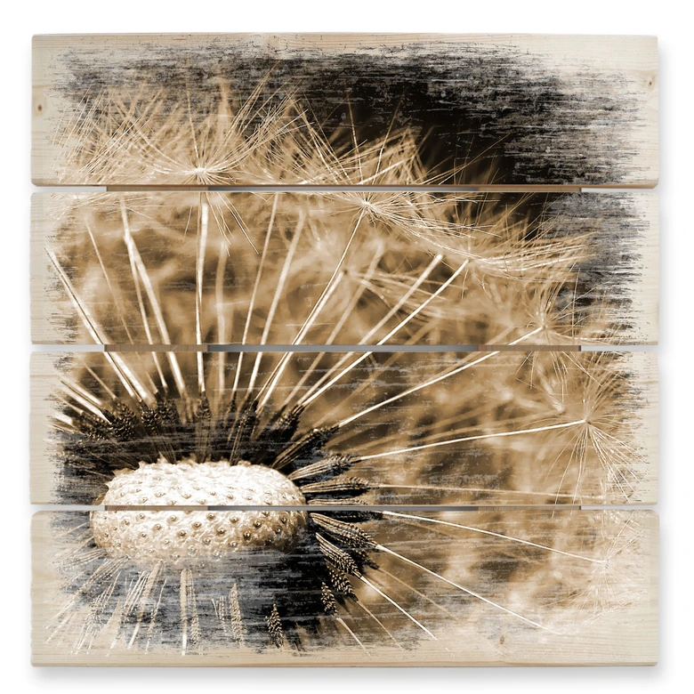 Holzbild Dandelion - 40x41,5 cm 