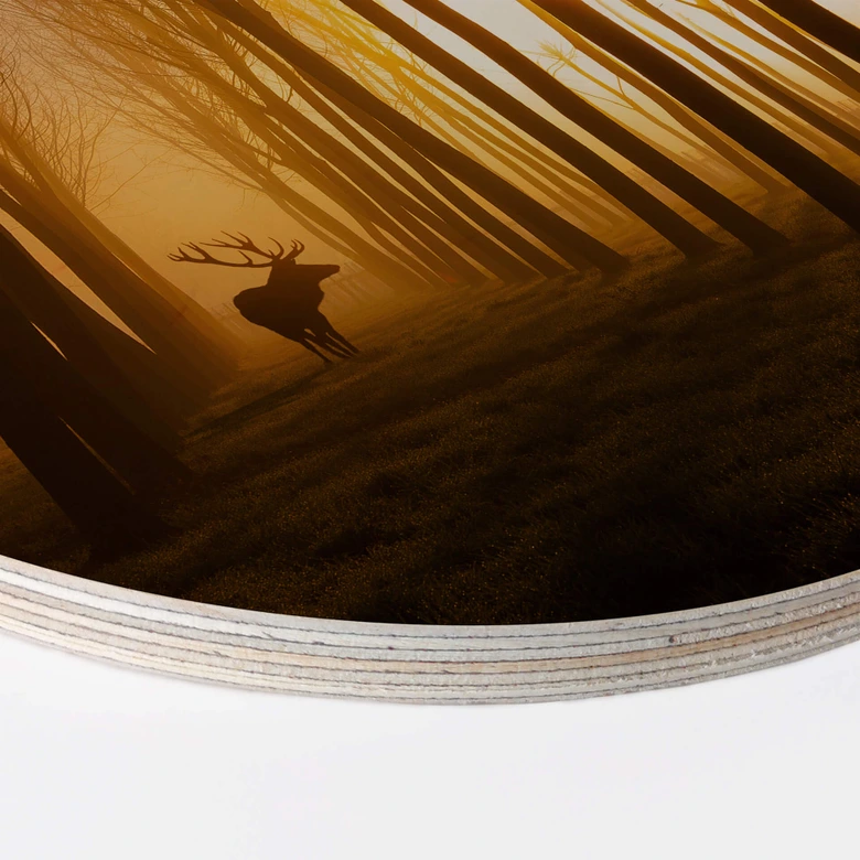 Wandcirkel Hout Norim - Forest Beauty 