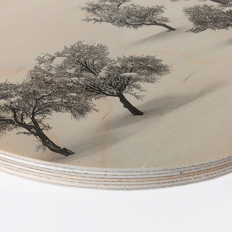 Holzbild Carrillo Lopez - Weiße Landschaft mit Bäumen - Rund 