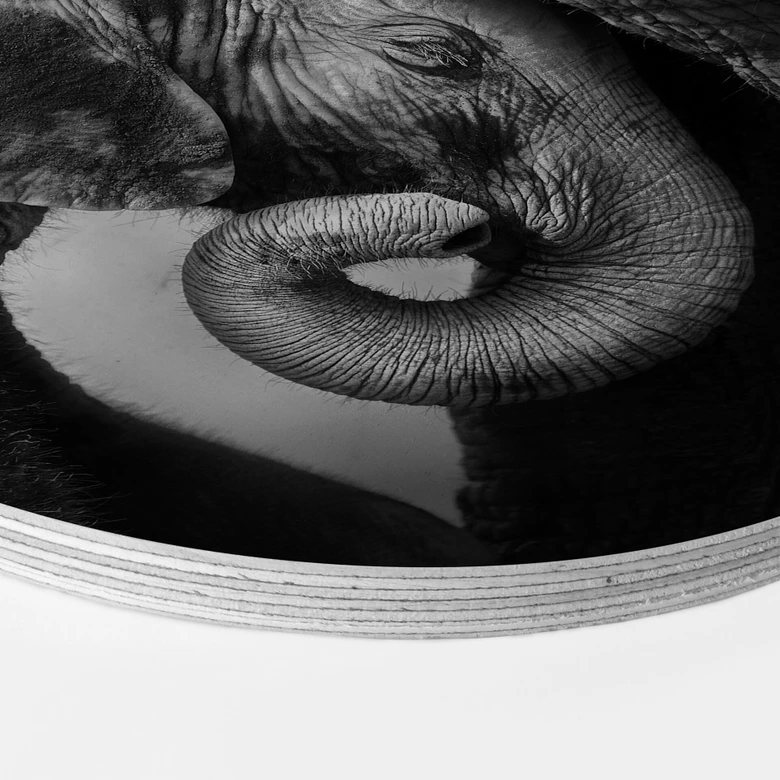 Holzbild - Das Elefantenbaby - Rund 