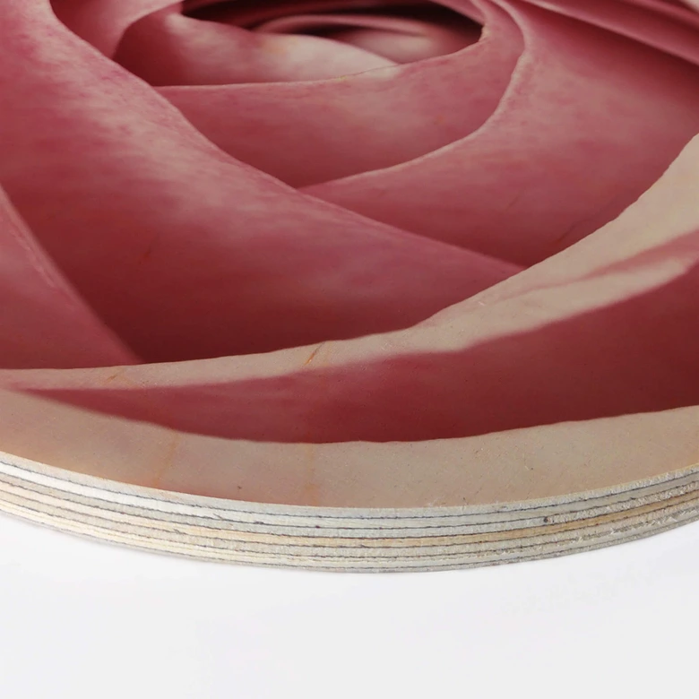 Holzbild Die rosa Rose - Rund 