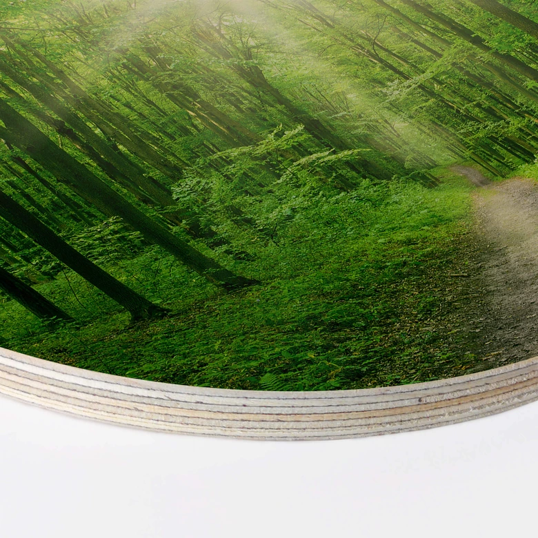 Holzbild - Sunny forest - Rund 