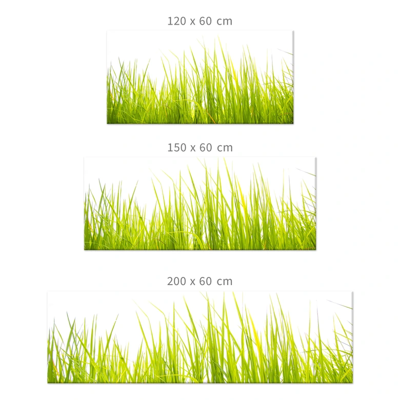 Küchenrückwand Hohes Gras 