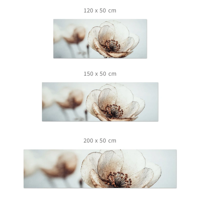 Küchenrückwand Trockenblüte Beige Naturpoesie - Treechild 