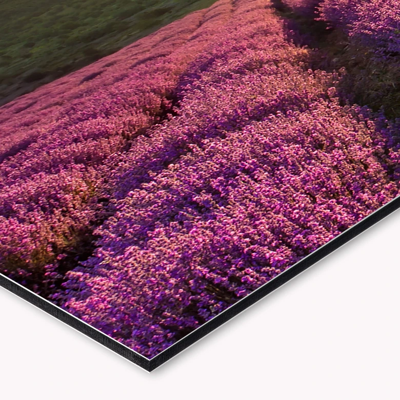 Keukenachterwand - Lavendel in de Provence 