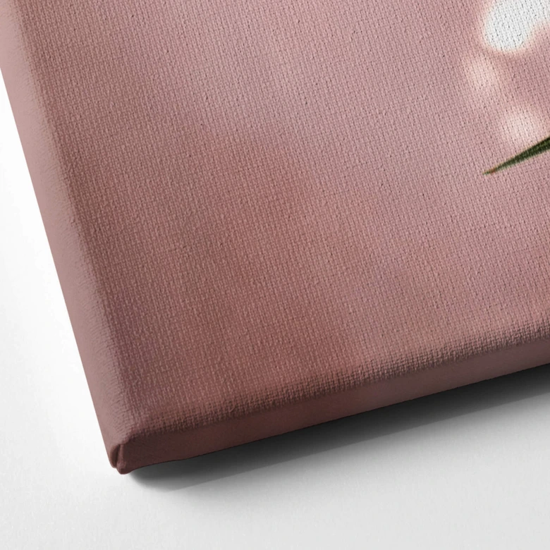 Leinwandbild Palmenblatt vor rosa Wand - Böhmer 