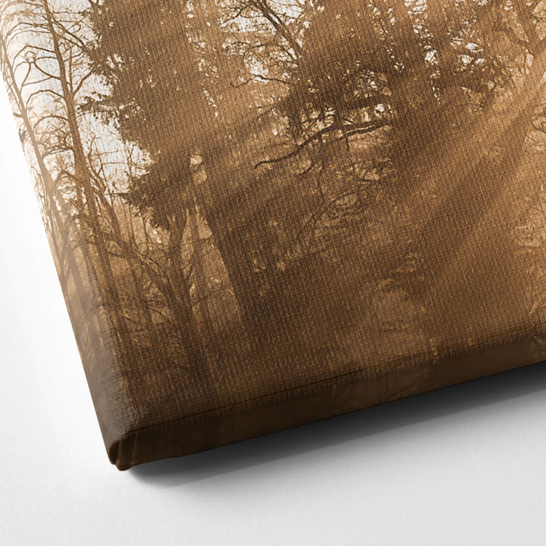 Leinwandbild Natur - Lichtstrahlen im Wald - Eisenmann 
