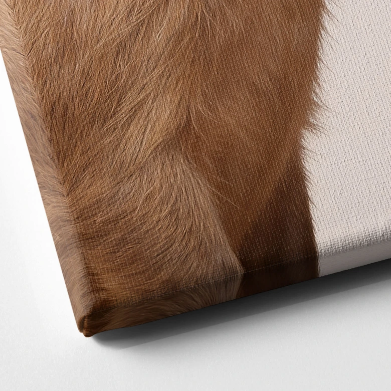 Leinwandbild Kuschelndes Capybara-Pärchen 