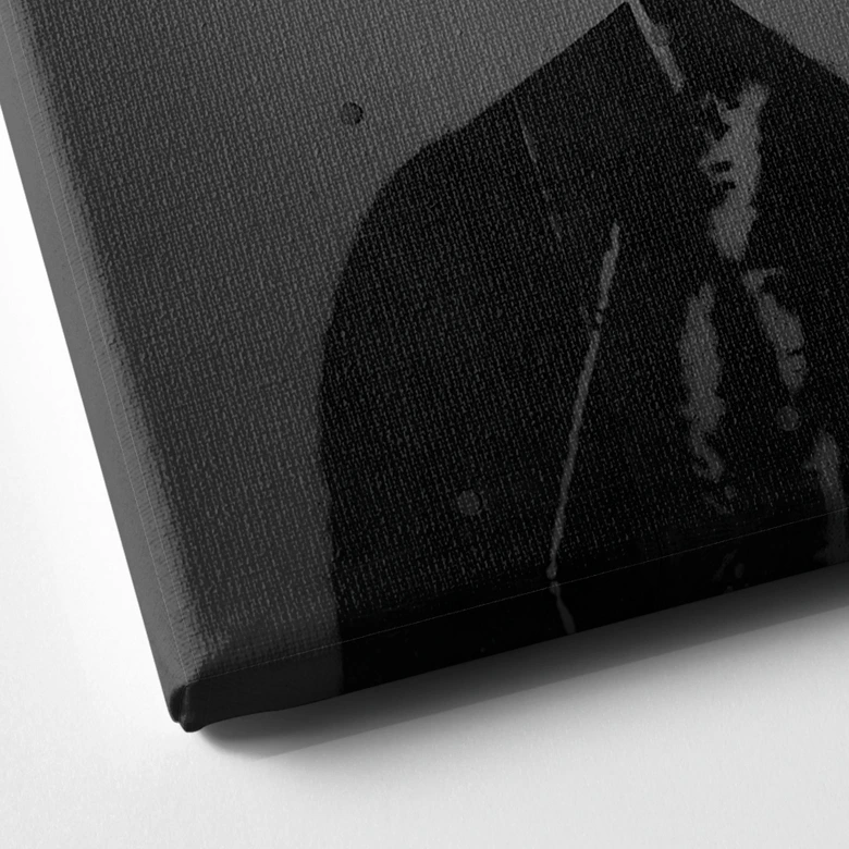 Tableau sur toile Karl Lagerfeld - Mielu 