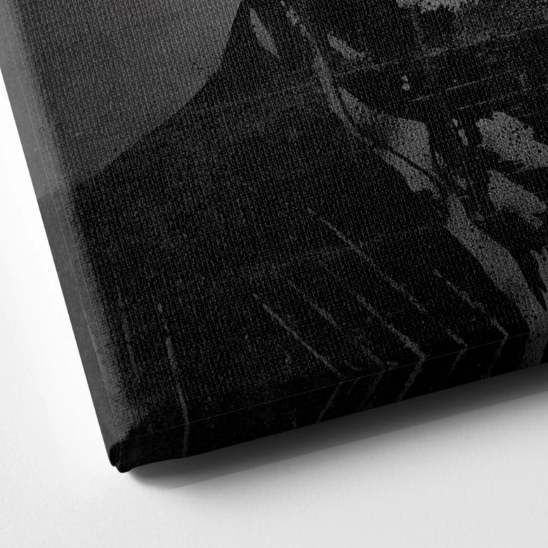 Lienzo Póster Póster Malone - Mielu 