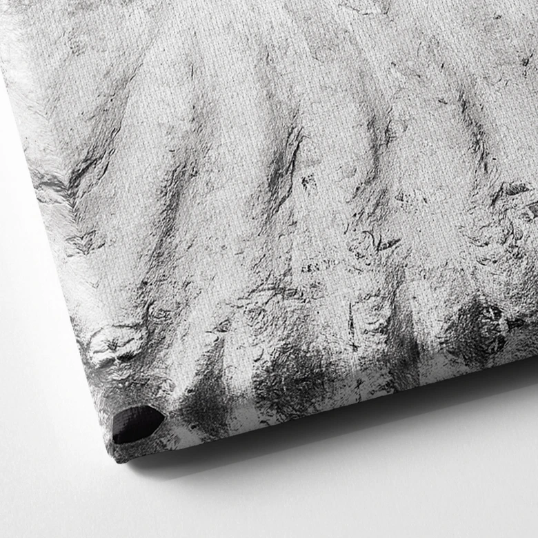 Leinwandbild Fossile Muschel - Shot by Clint 