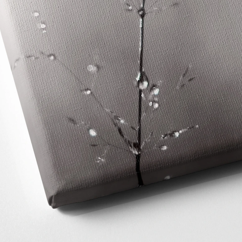 Leinwandbild Grashalm mit Tautropfen - Sillen 