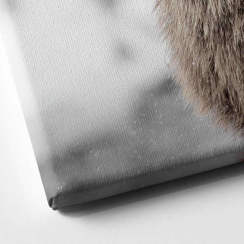 Lienzo ciervo en la nieve | motivo animal para el salón - Strigel 