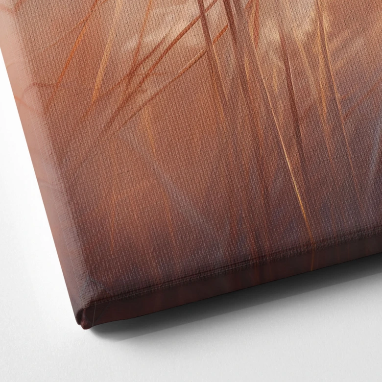 Lienzo Hierba de las dunas al sol del atardecer - Treechild 