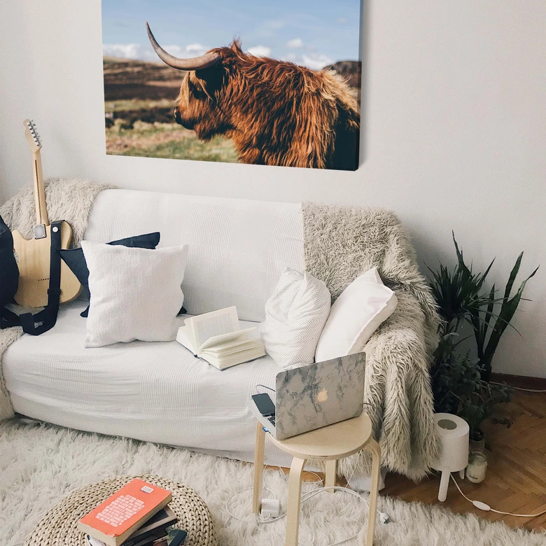 Leinwand Highland Cow 02 