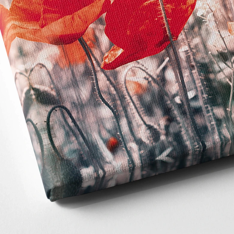 Canvas Red Poppies 