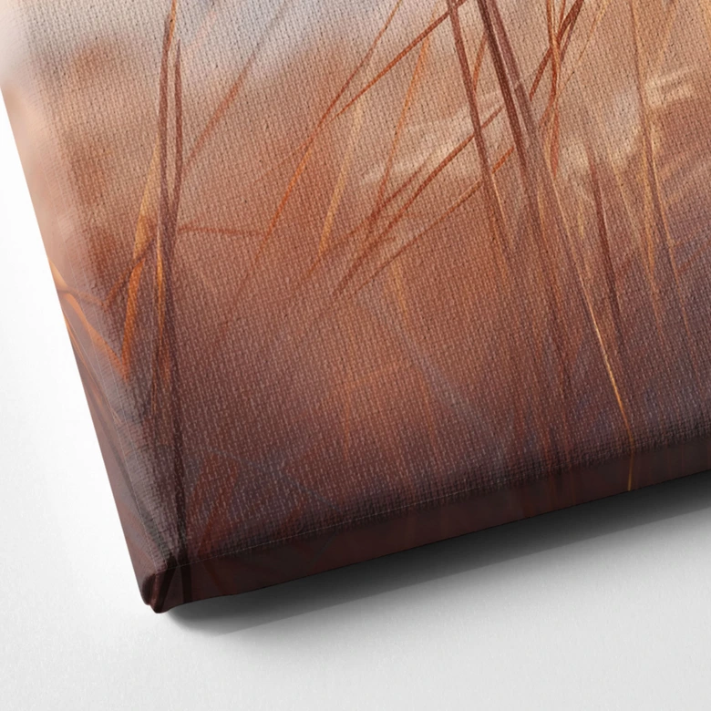 Canvastavla Dyngräs i kvällssol - Treechild - Panorama 