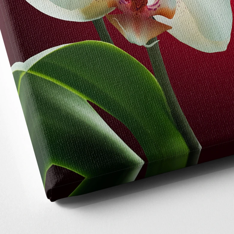 Leinwandbild Blütenpracht einer Orchidee rot - quadratisch 