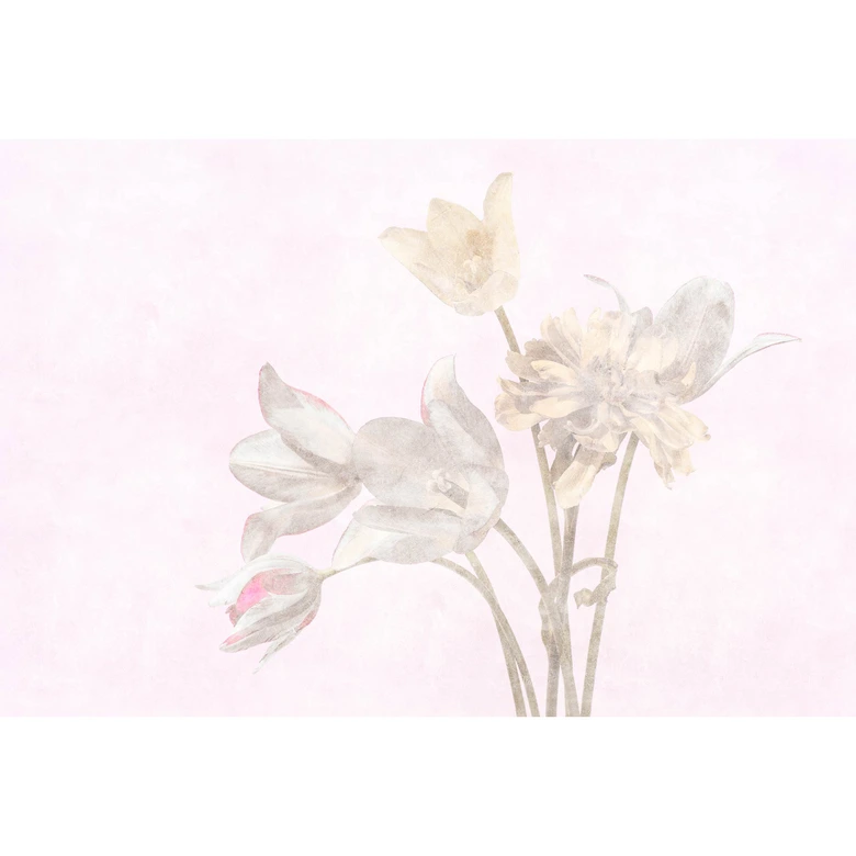 Fotomural Paredes de Patel 3 Morning Room 1 morado, amarillo, beige, gris, rosa 