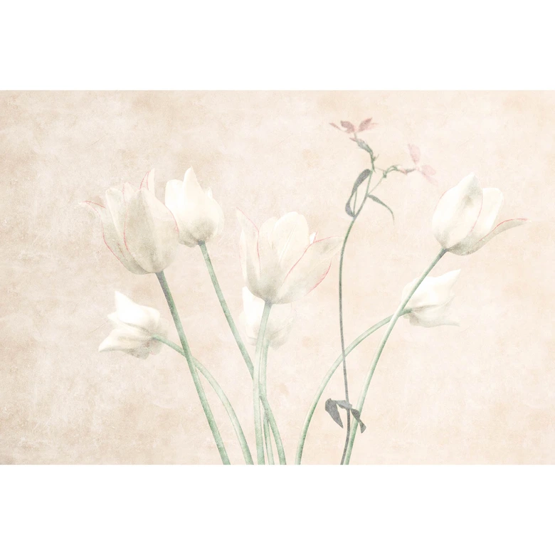 Fotomural Paredes de Patel 3 Morning Room 3 amarillo, verde, rosa, gris 