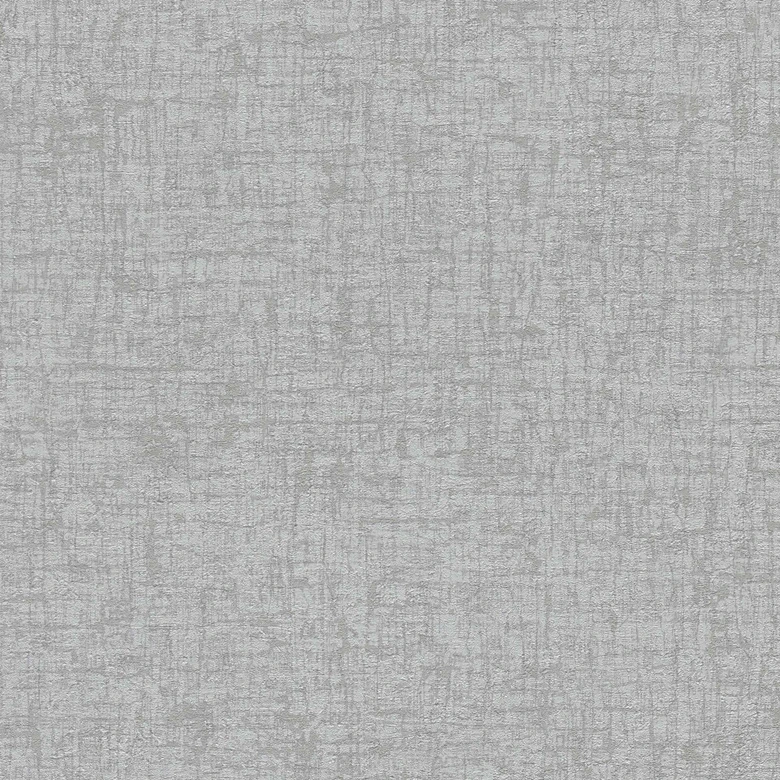 Strukturtapete Kalkputz-Optik Hellgrau - Moderne Vliestapete Urban Style 