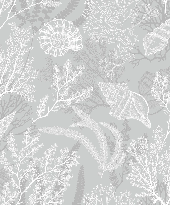 Papel pintado no tejido de conchas grises naturaleza gráfica submarina  