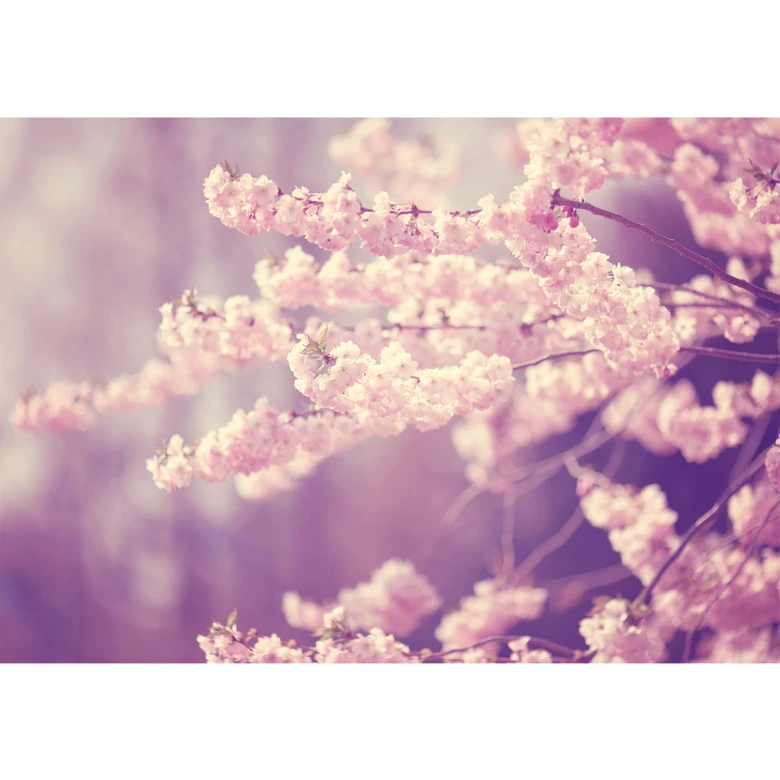 Furniture Wrap - Beautiful Flowers 02 