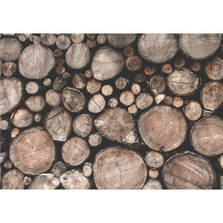 Möbelfolie, Dekofolie - abwischbar - Holz 08 