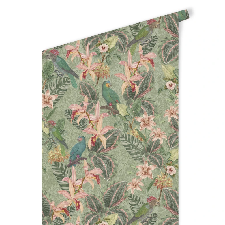Patterned Wallpaper Jungle with Parrots Green - Bloomery Decor 
