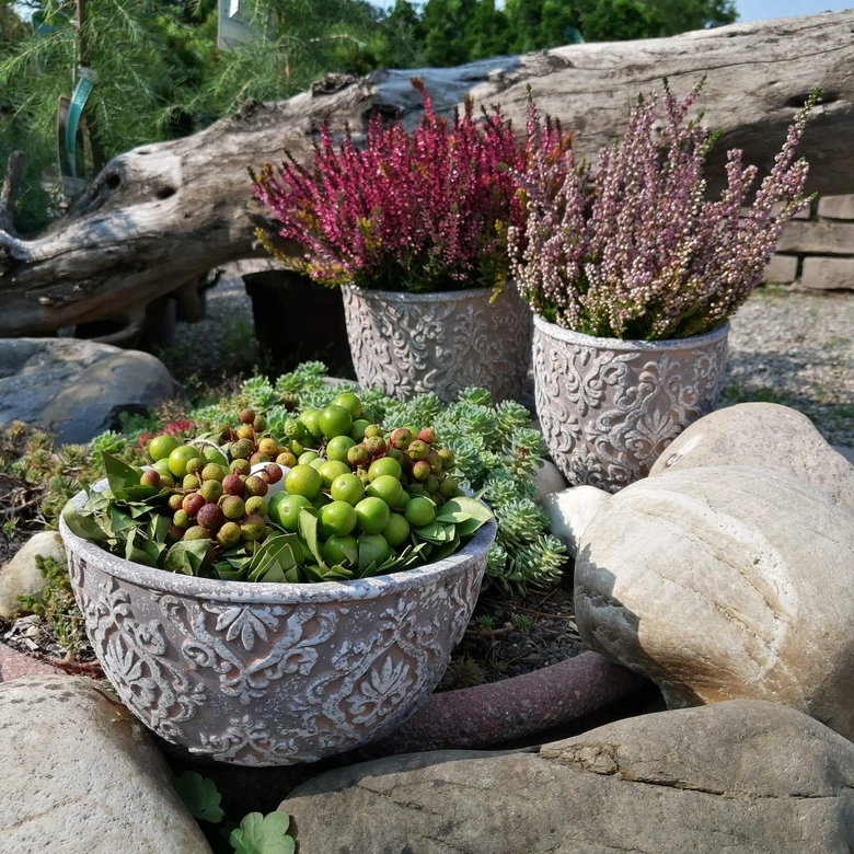 Pflanzenschale Beton mit Verzierung - 19x19 cm 