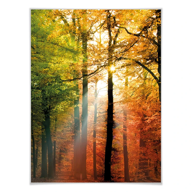 Poster - Goldener Herbst  