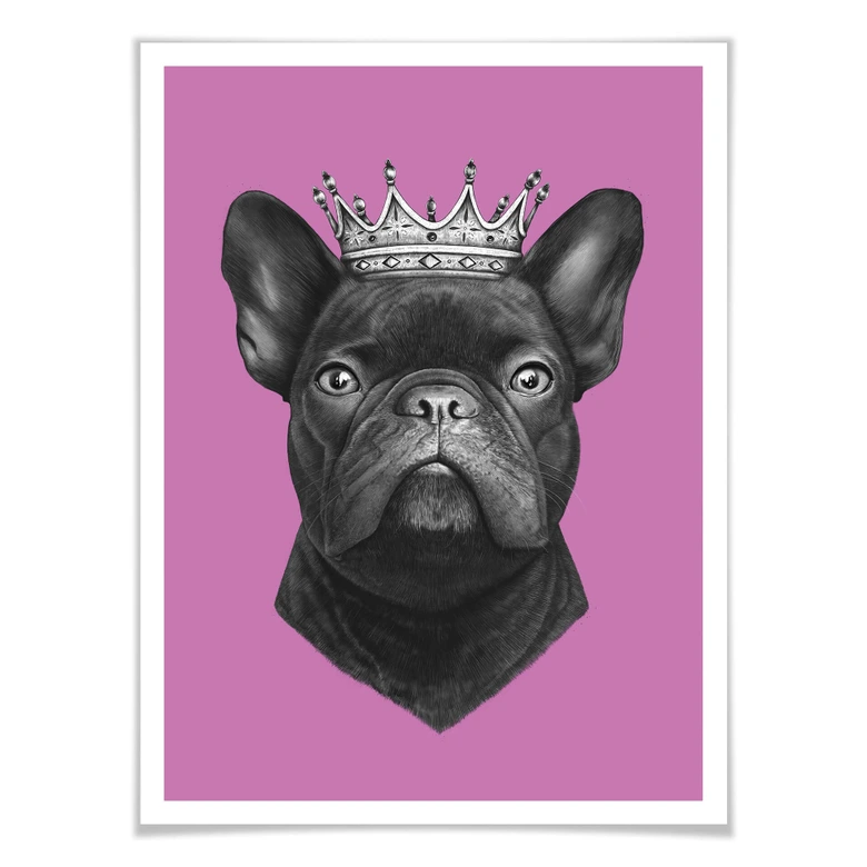 Poster Korenkova - King French Bulldog pink 