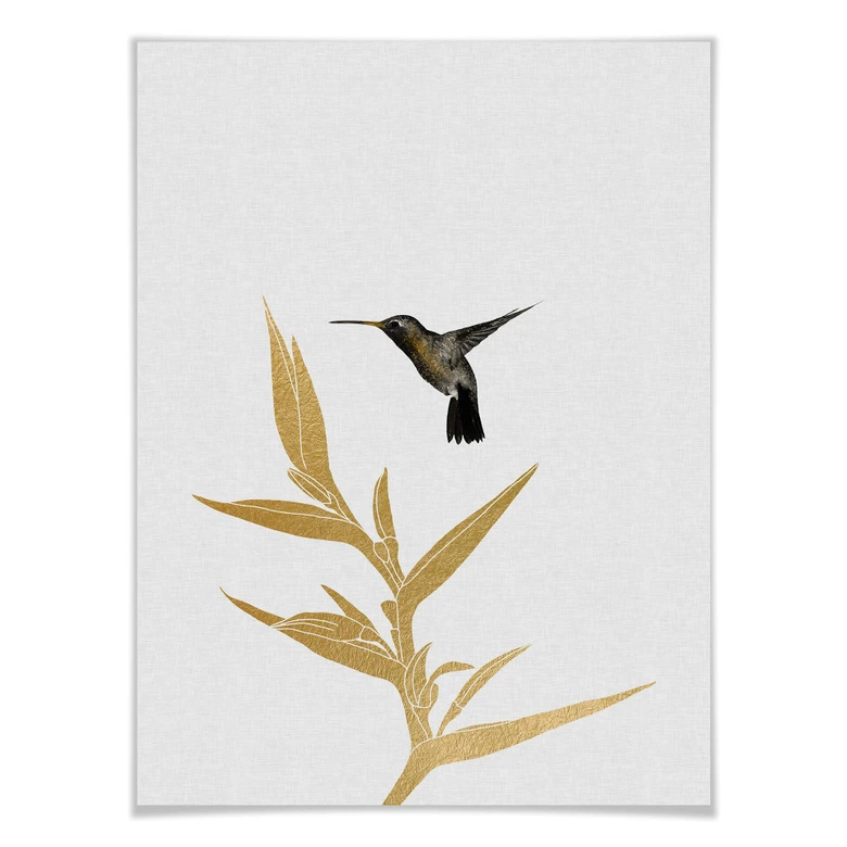 Poster Orara Studio - Hummingbird and Flower - goldene Pflanze 