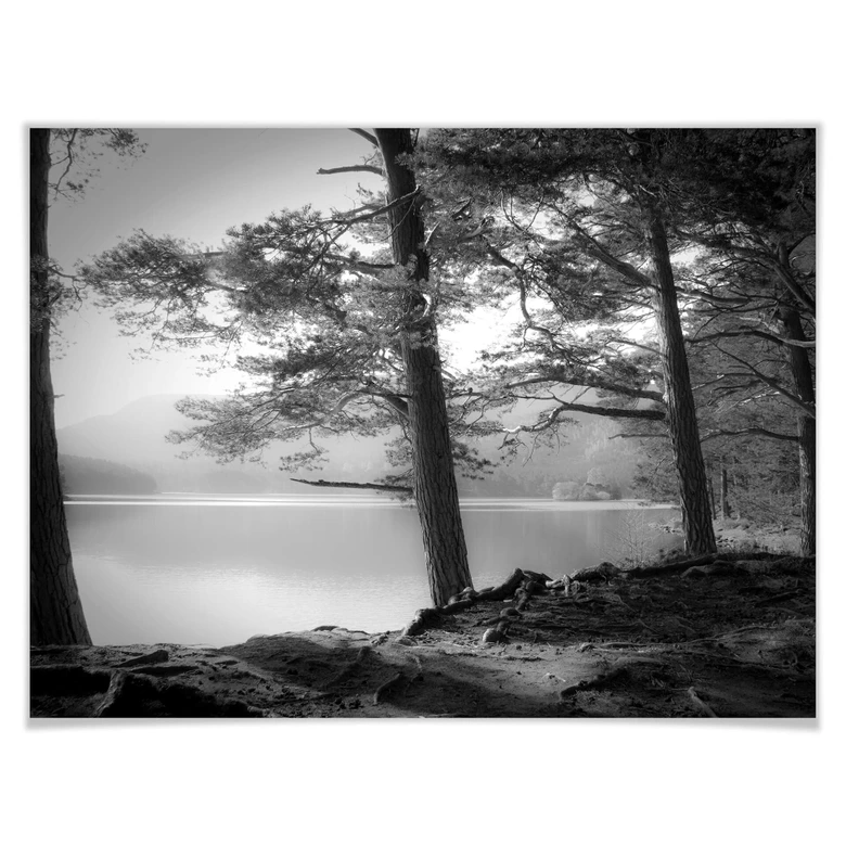 Póster Fuhg - Vista del lago 