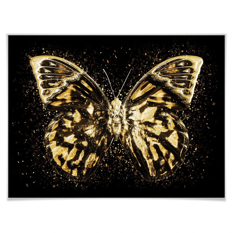 Póster Hugonnard - Mariposa dorada 